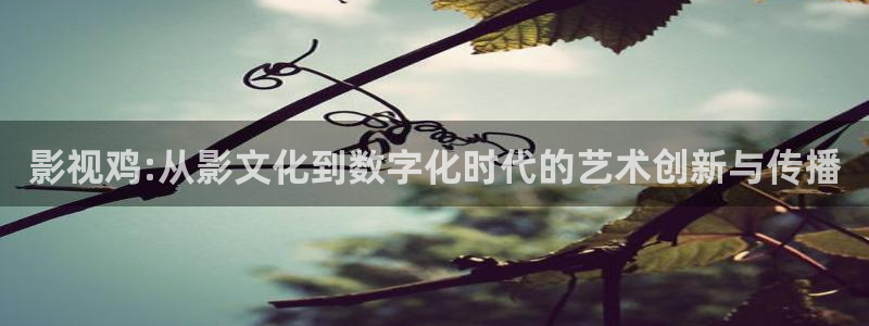 好看影院在線觀看